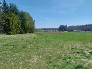 Forssman Übersetzer Eglitis Fernblick