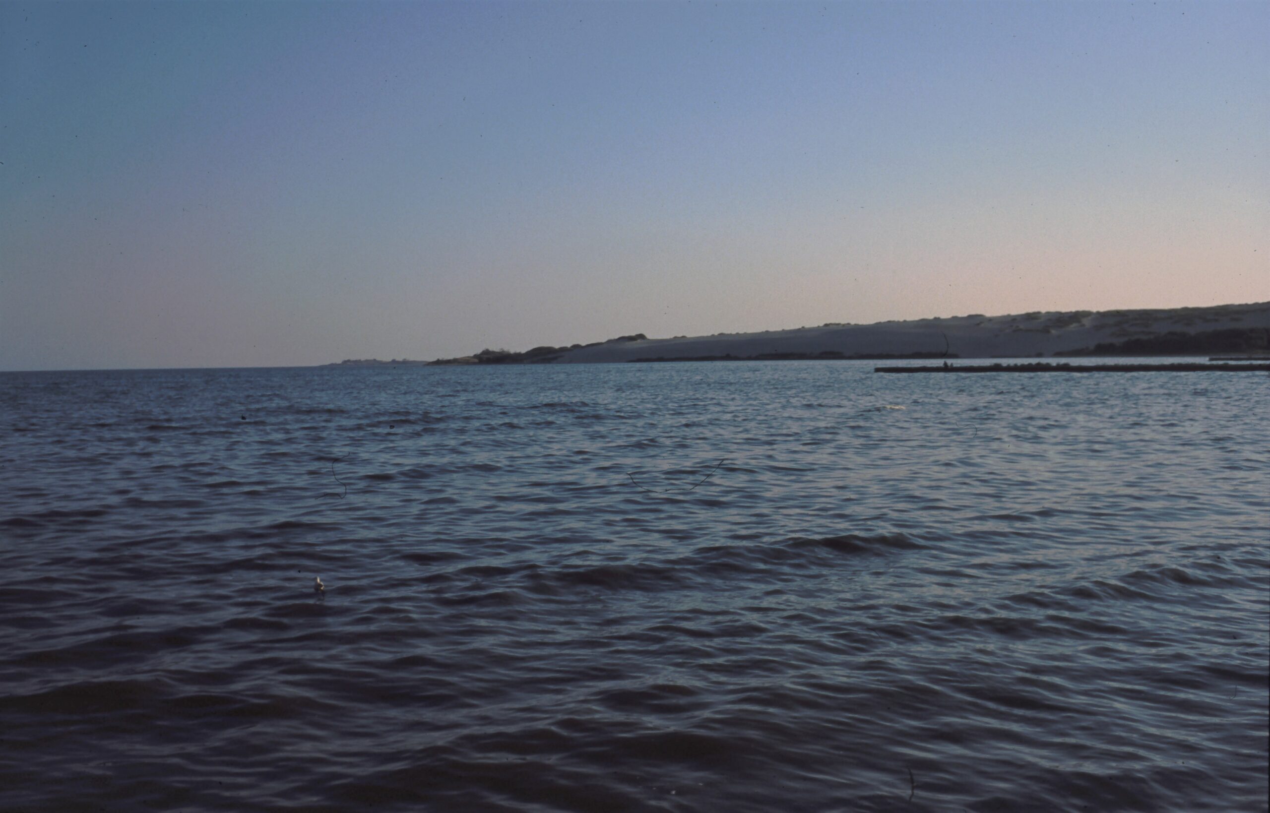 Kurland, kurische Nehrung und Kurisch Forssman Übersetzer