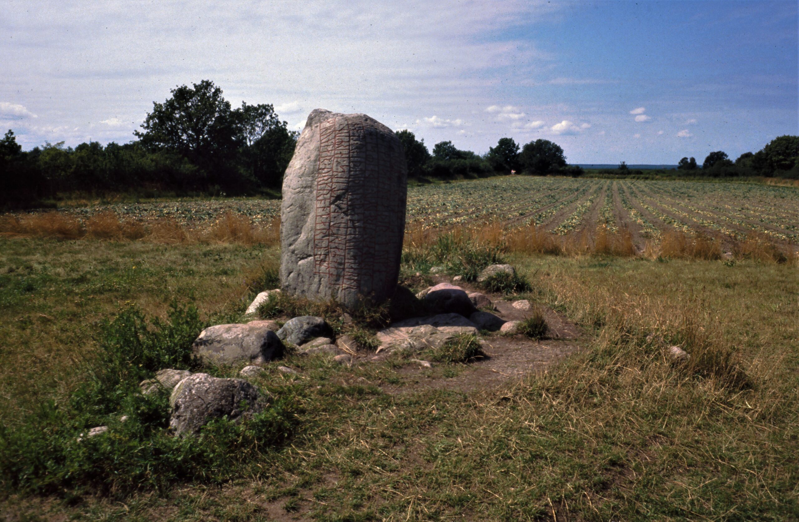Forssman Übersetzer Schweden Runenstein Öland