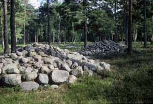 Forssman Übersetzer Steinrosen auf Gotland